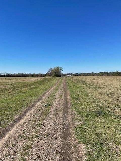 Pattonville, TX 75468,000 County Road 15390