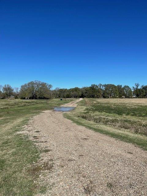 Pattonville, TX 75468,000 County Road 15390