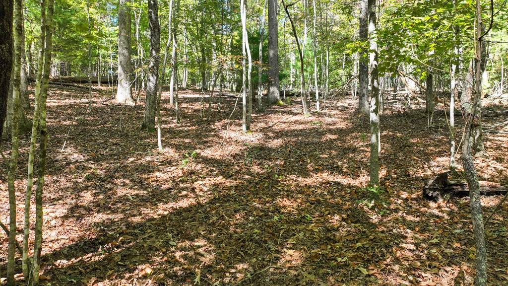 Blue Ridge, GA 30513,Lot 1&2 Timberlake Estates