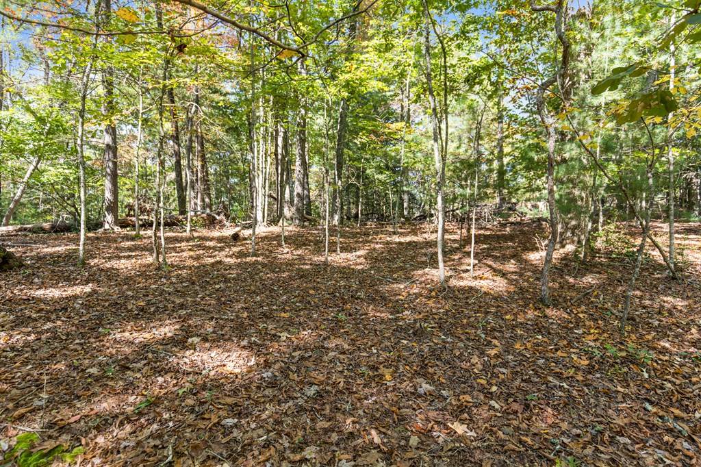 Blue Ridge, GA 30513,Lot 1&2 Timberlake Estates