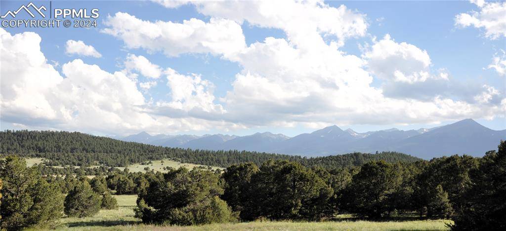 Westcliffe, CO 81252,1235 Corral South RD