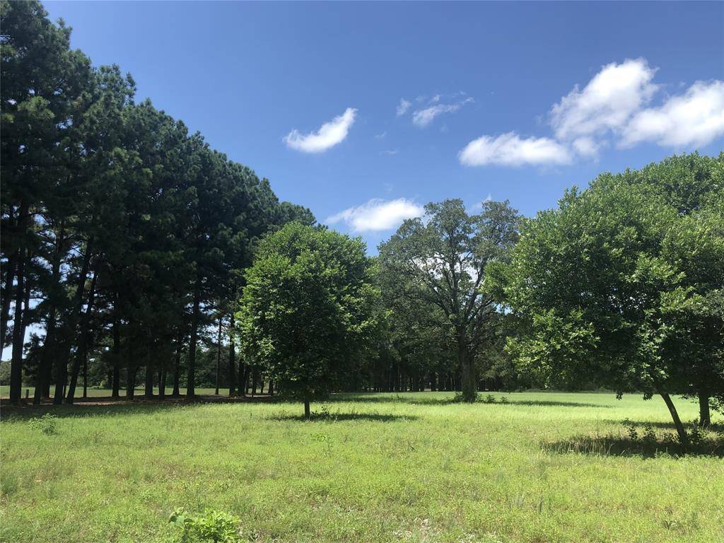 Athens, TX 75752,Lot 15 County Road 3922