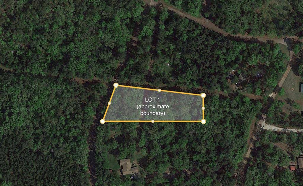 Winona, TX 75750,Lot 1 County Road 353