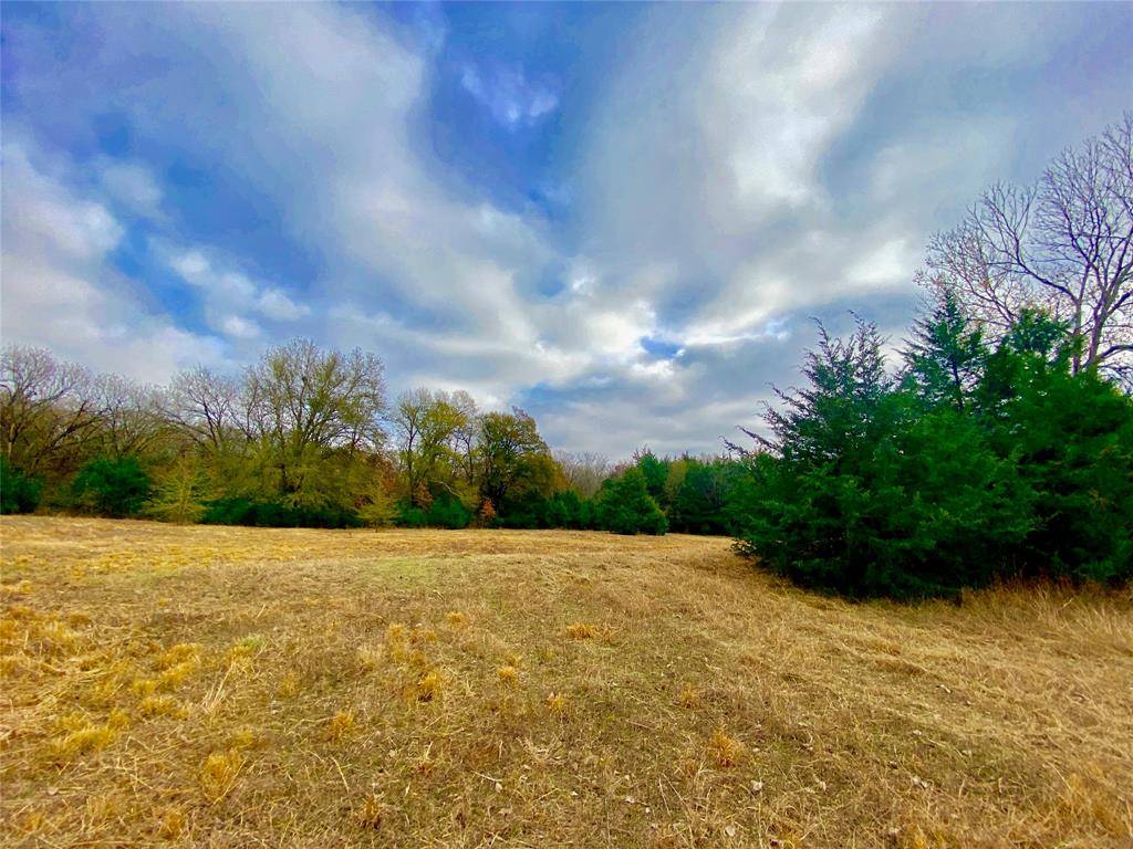 Cumby, TX 75433,TBD FARM ROAD 275