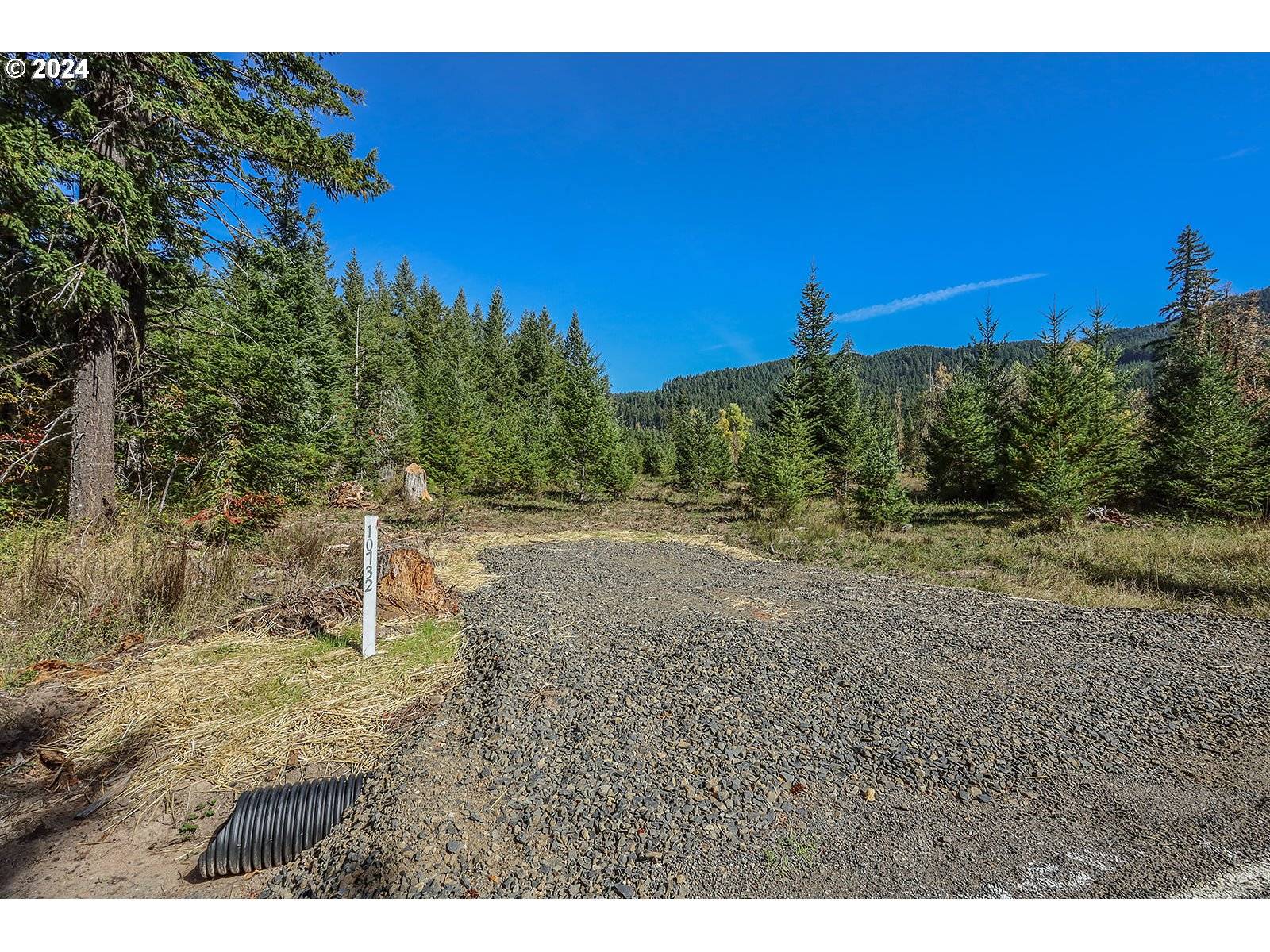 Carson, WA 98610,10732 Wind River HWY