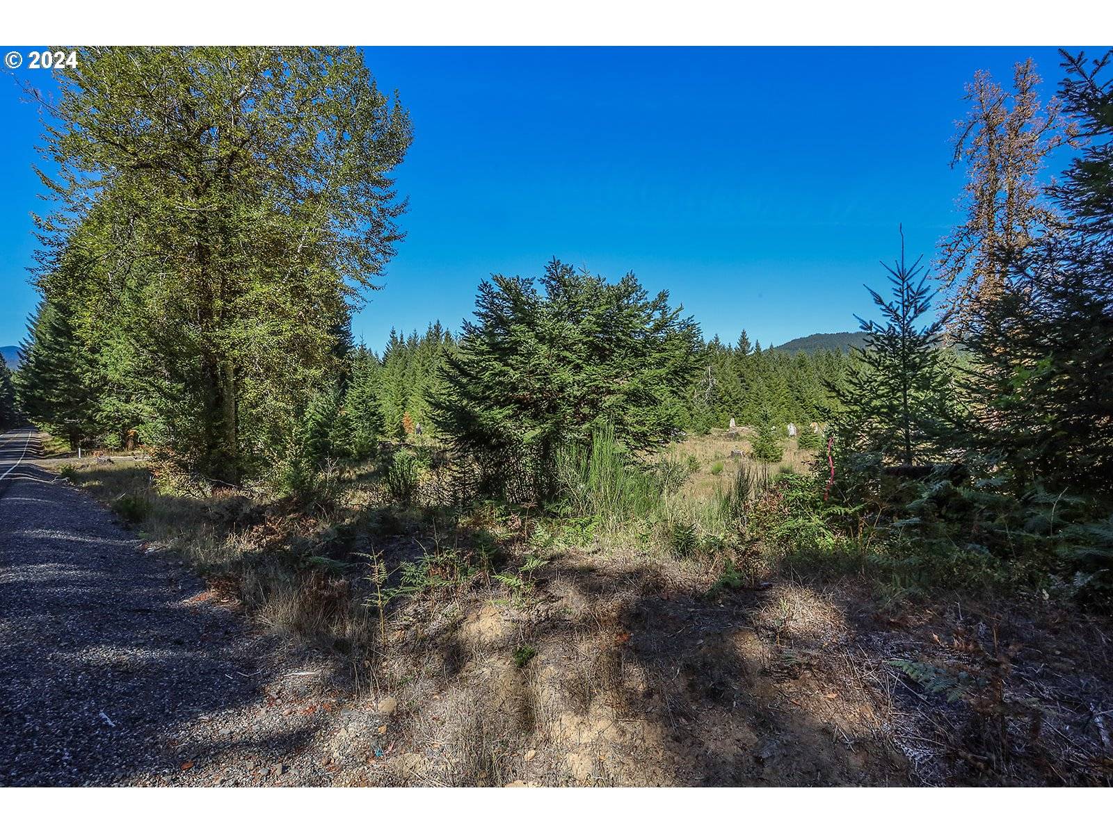 Carson, WA 98610,10732 Wind River HWY