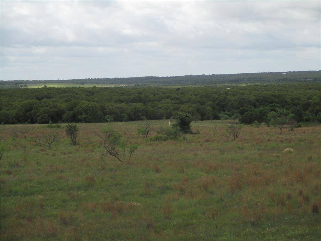 Perrin, TX 76486,35 ac Two Bush