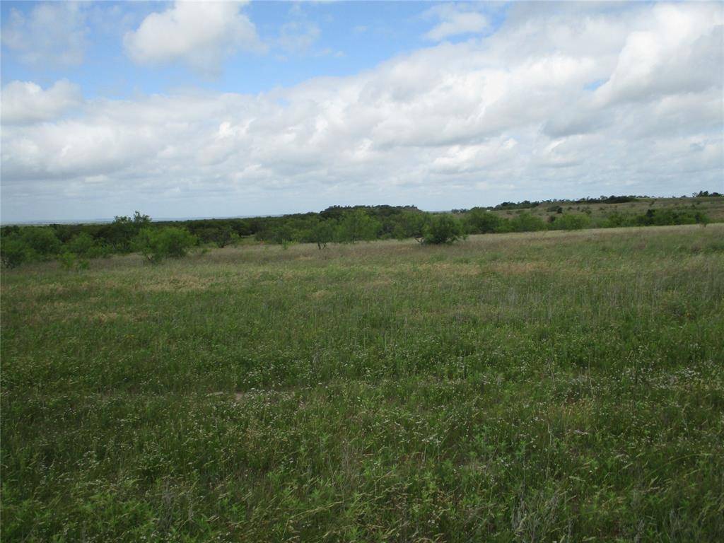 Perrin, TX 76486,35 ac Two Bush