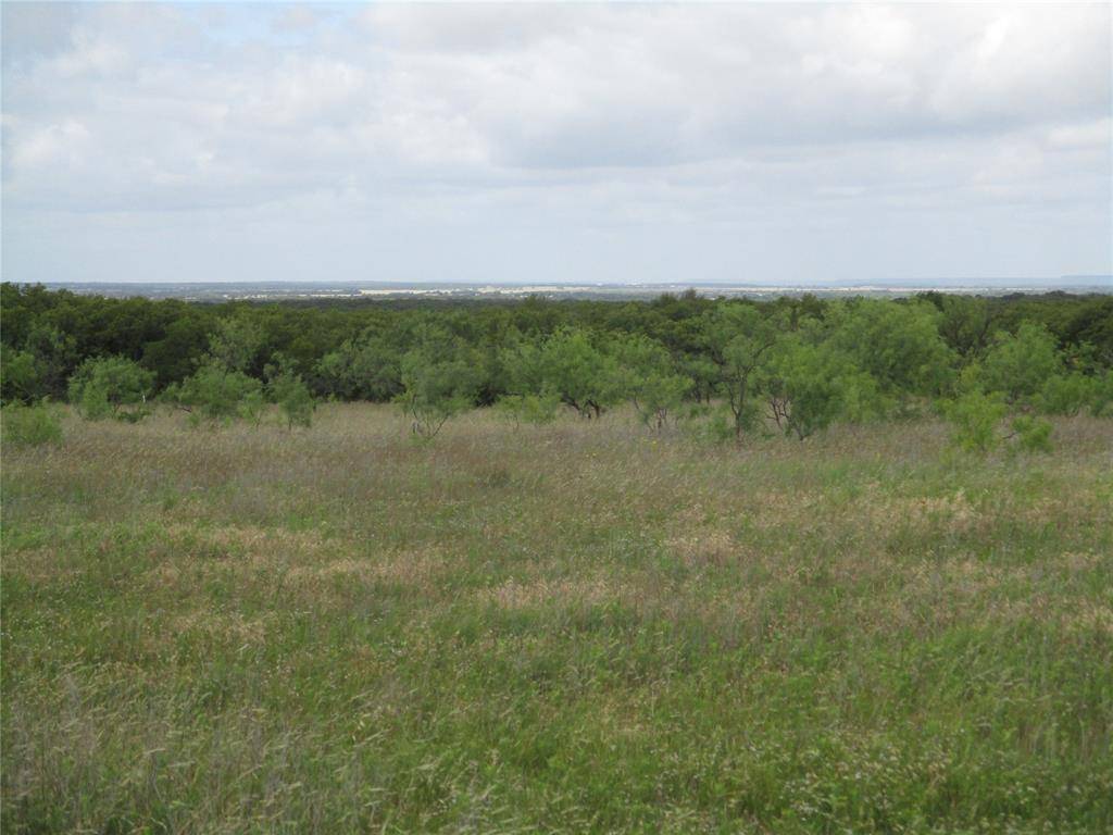 Perrin, TX 76486,35 ac Two Bush