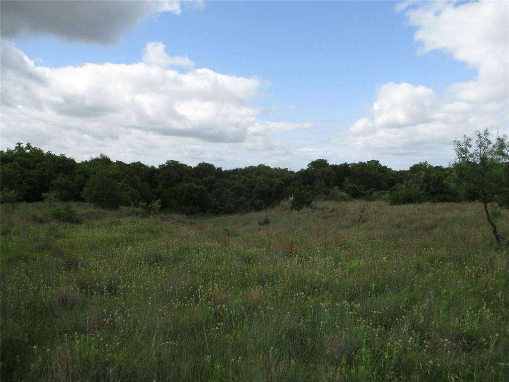 Perrin, TX 76486,35 ac Two Bush