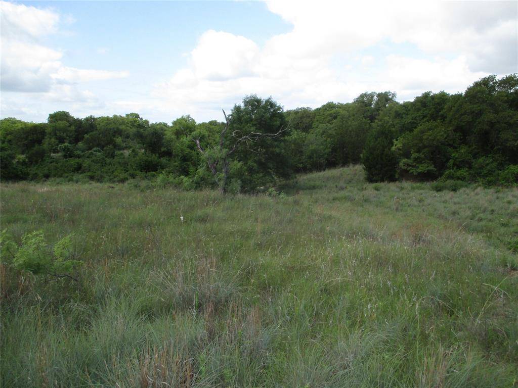 Perrin, TX 76486,35 ac Two Bush