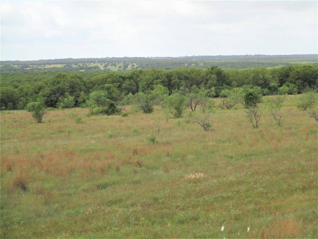 Perrin, TX 76486,105 ac Two Bush