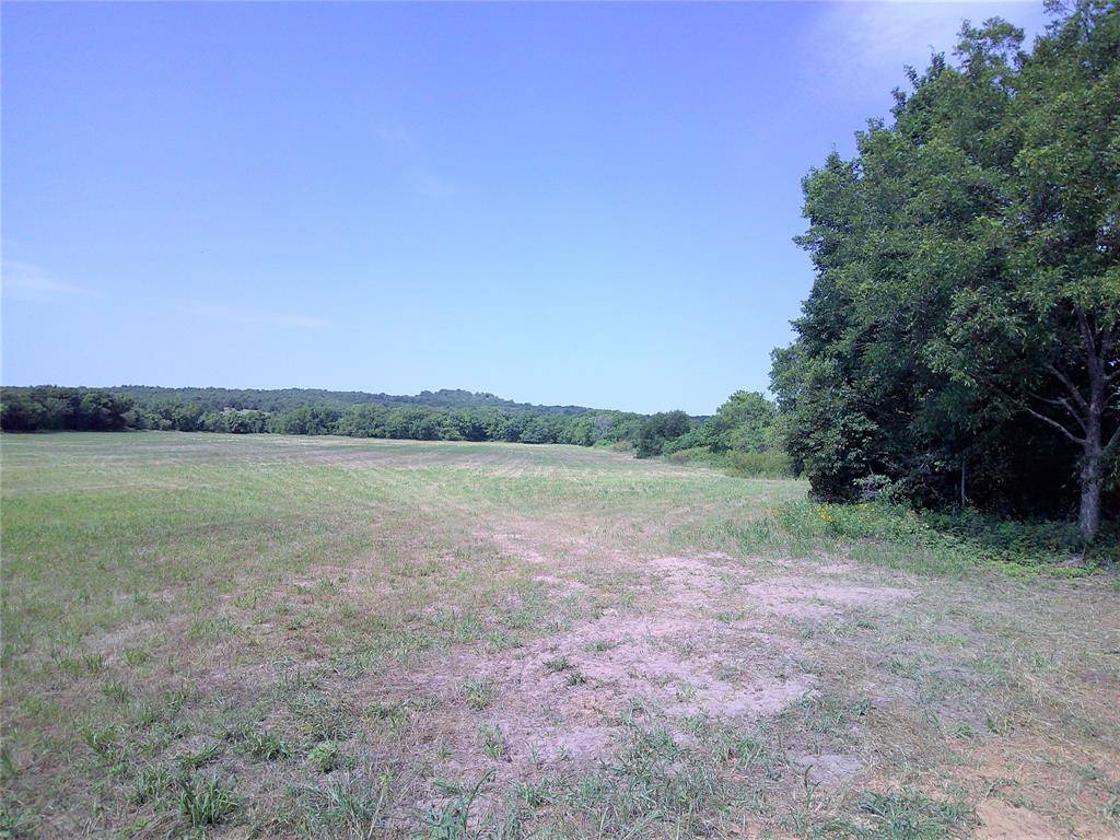 Saint Jo, TX 76265,Lot 5 Starr Man