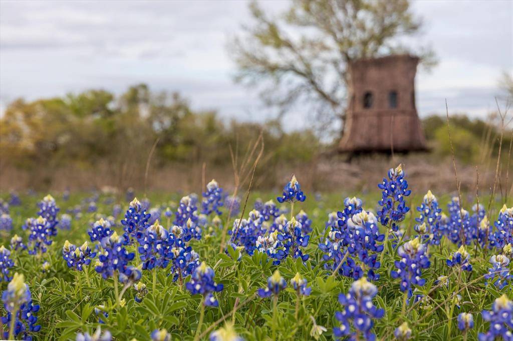 Meridian, TX 76665,1434 County Road 2130 (125)