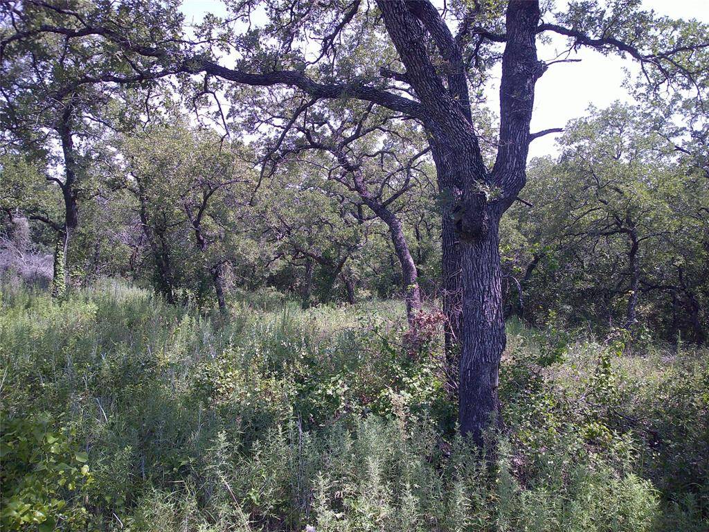 Perrin, TX 78486,18AC N Mason