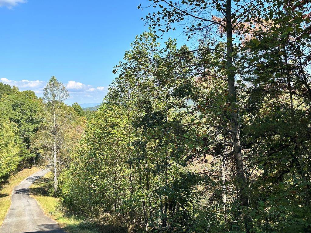 Young Harris, GA 30582,Lot 1&3 Ruby Ridge Drive