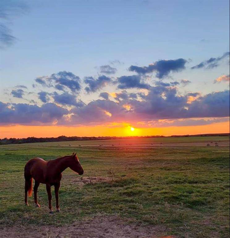 Rising Star, TX 76471,22291 CR 487