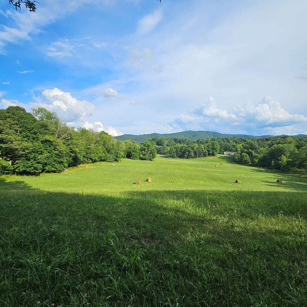 Glade Spring, VA 24340,0000 TBD Widener Valley Road