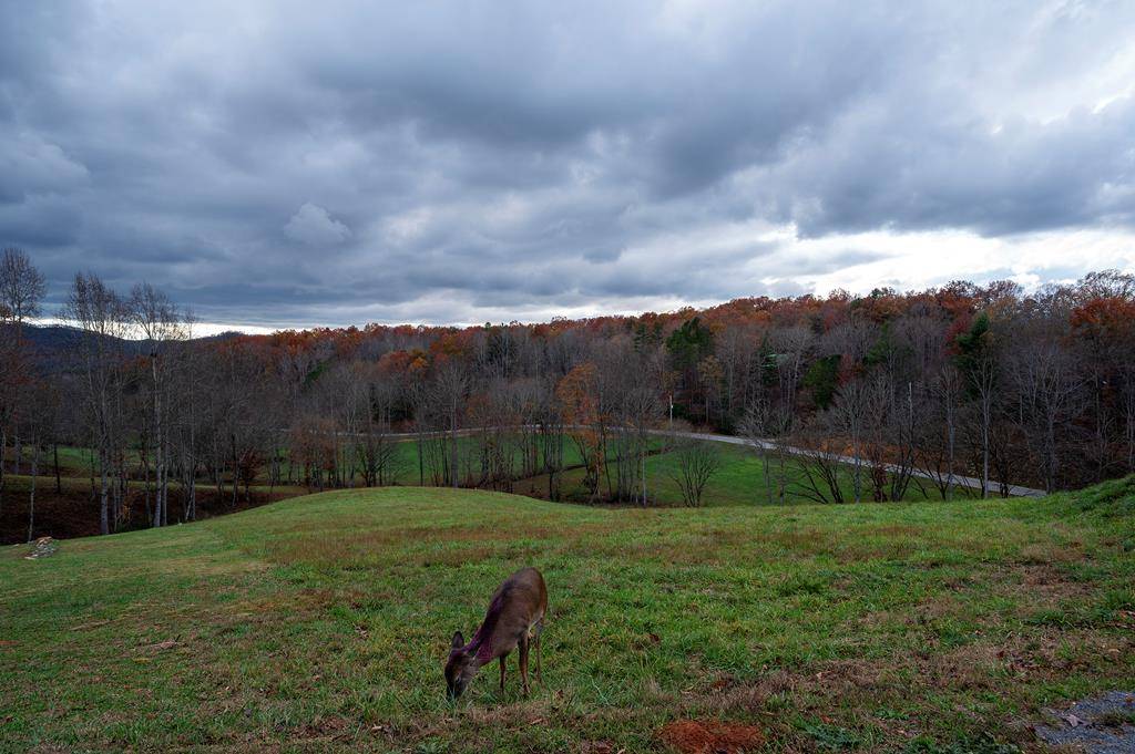 Morganton, GA 30563,LOT 22 Lower Ridge Trail