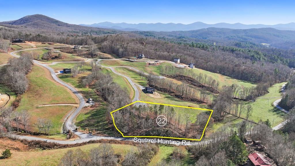 Morganton, GA 30563,LOT 22 Lower Ridge Trail