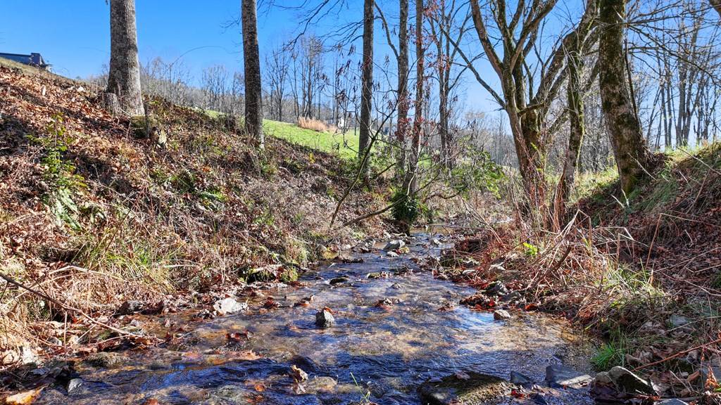 Morganton, GA 30563,LOT 22 Lower Ridge Trail