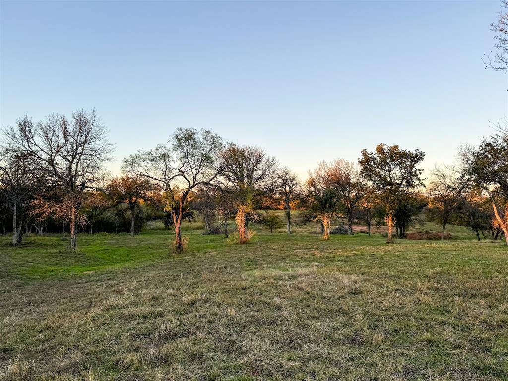 Lipan, TX 76462,TBD Big Valley Circle