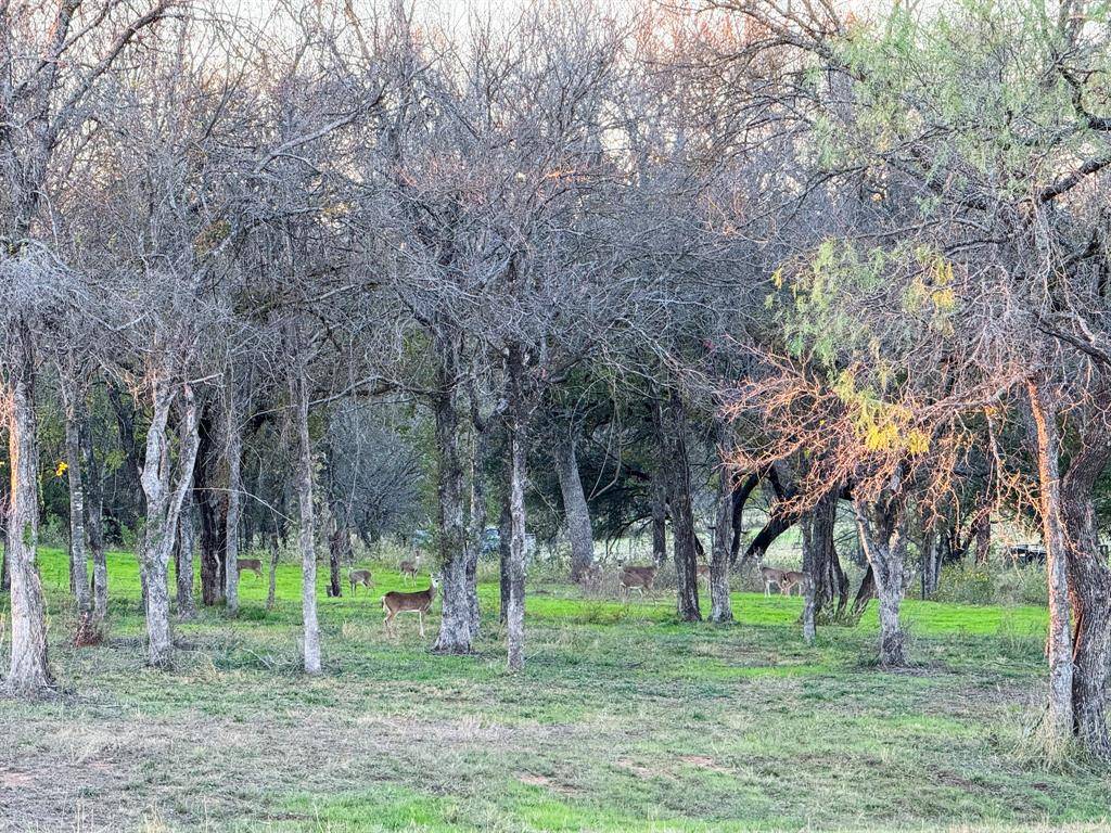 Lipan, TX 76462,TBD Big Valley Circle