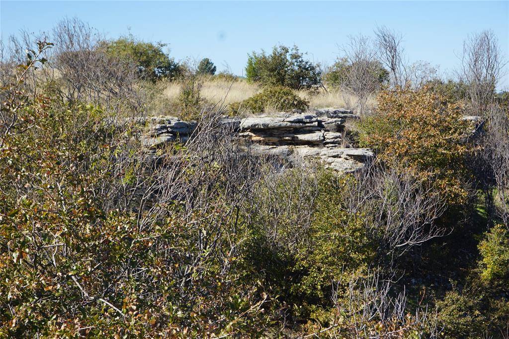 Possum Kingdom Lake, TX 76449,Lot 203 Castle Harbour Drive