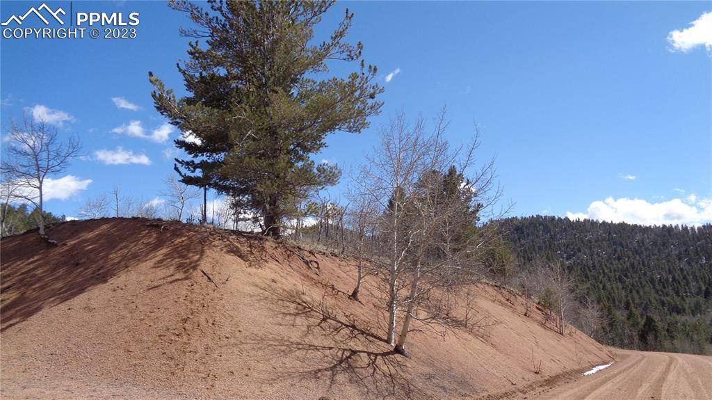 Cripple Creek, CO 80813,400 Last Dollar DR