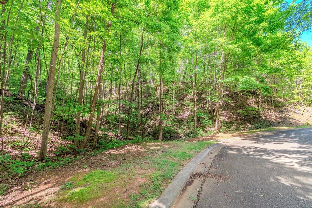 Ellijay, GA 30540,Lot 36 Abbott Mill Road