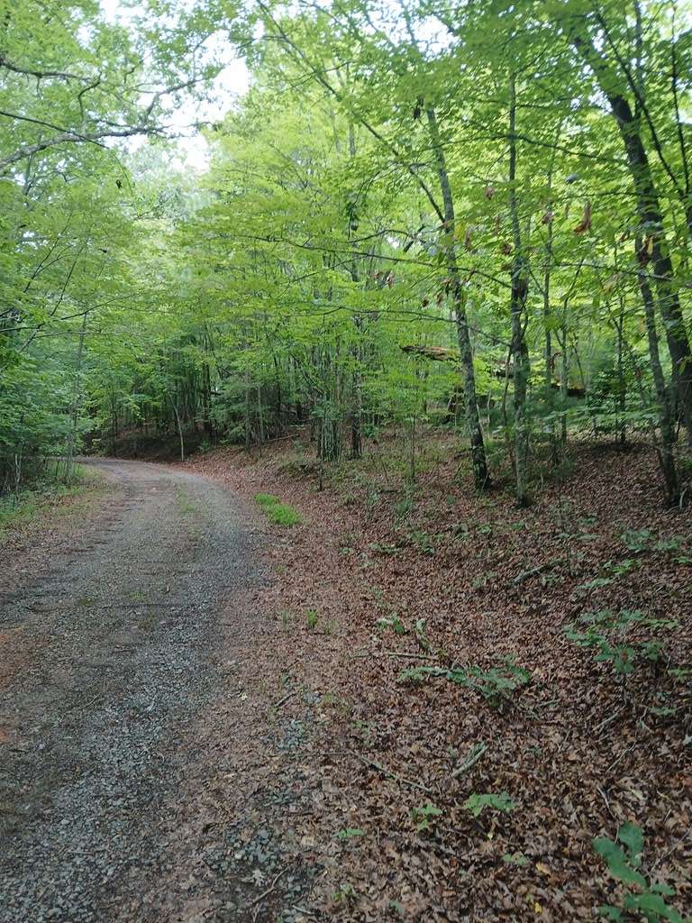 Mineral Bluff, GA 30559,0 Brook Lane