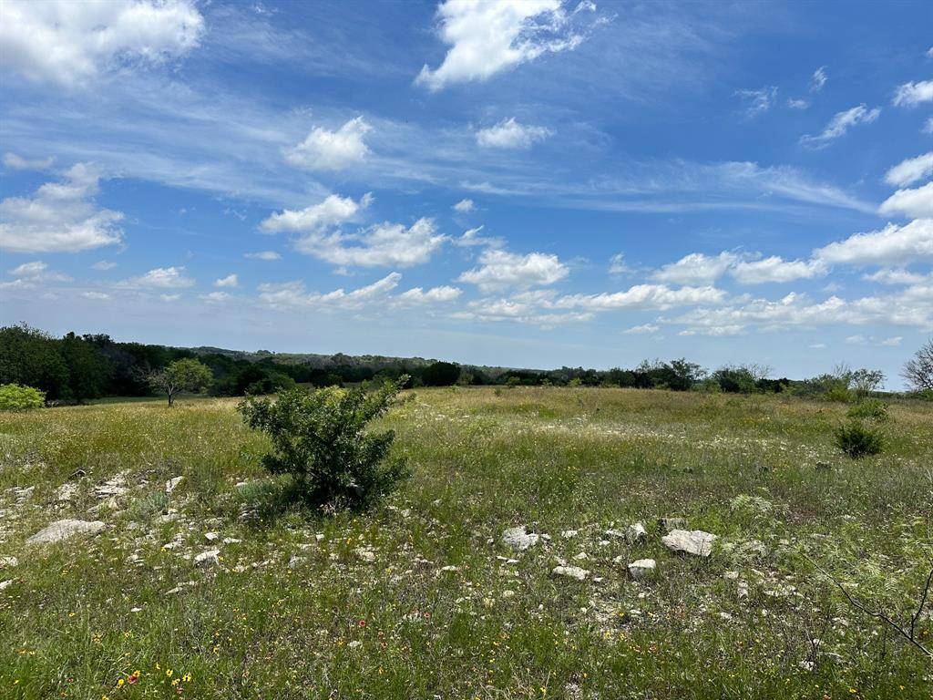 Dublin, TX 76446,Lot 1 Highway 6