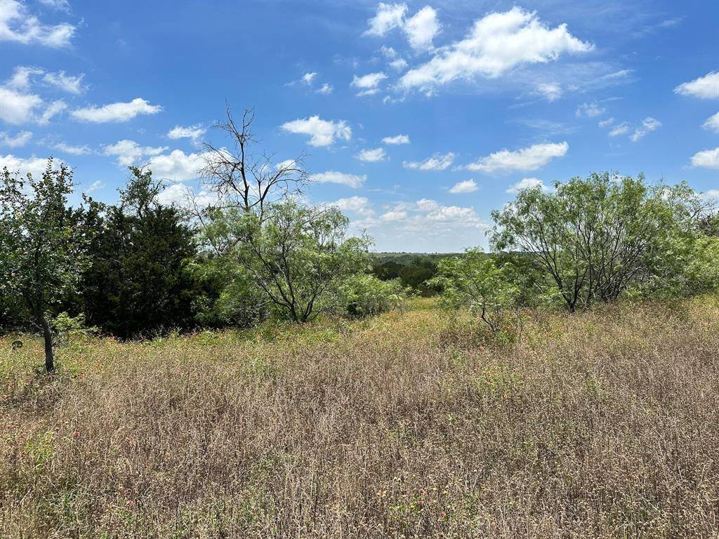 Dublin, TX 76446,Lot 1 Highway 6