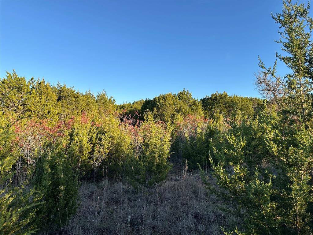 Graford, TX 76449,Lot 659R Canyon Wren Loop