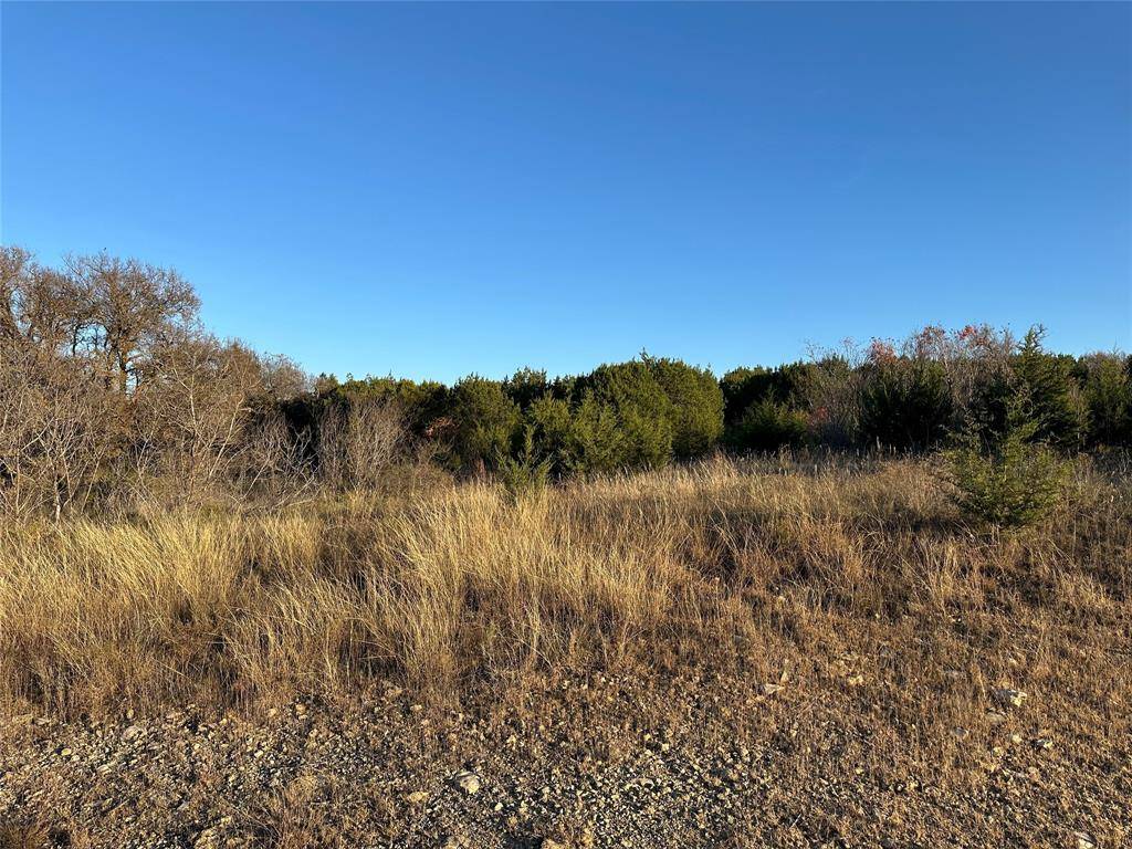 Graford, TX 76449,Lot 659R Canyon Wren Loop