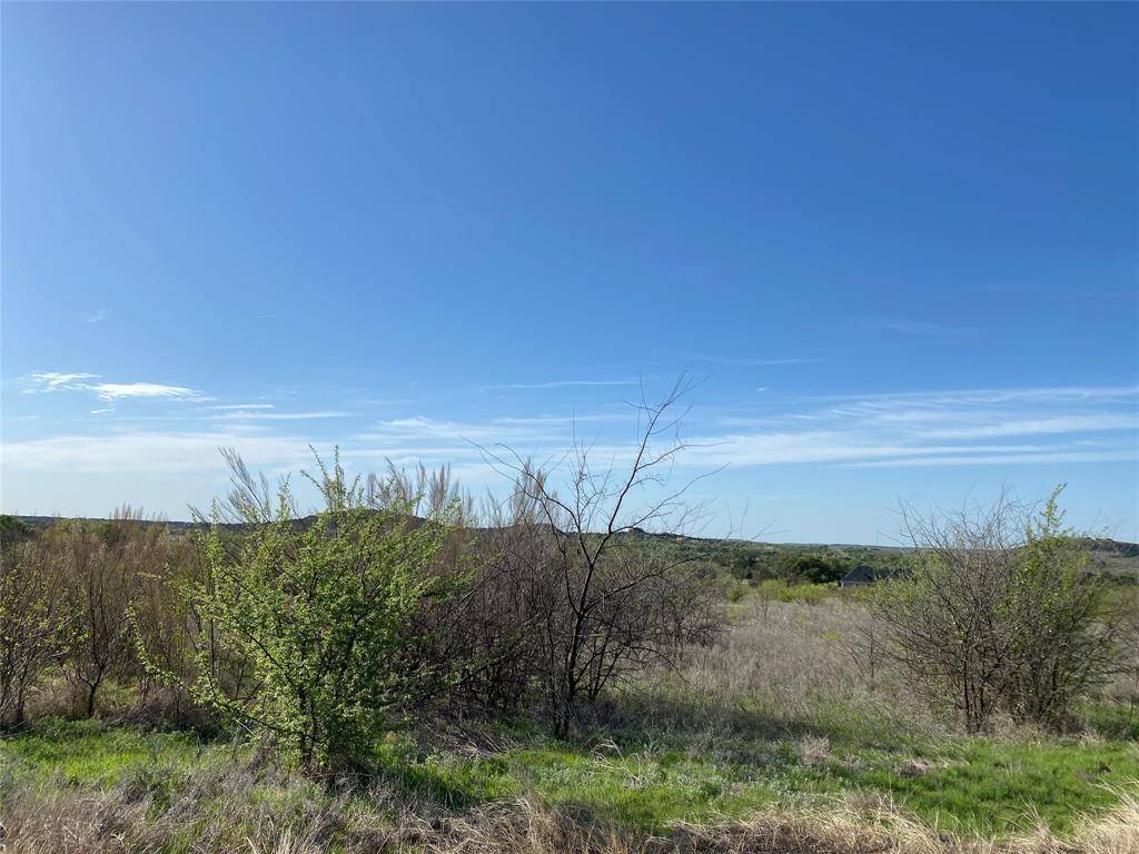 Graford, TX 76449,Lot 205 Evening Primrose Drive