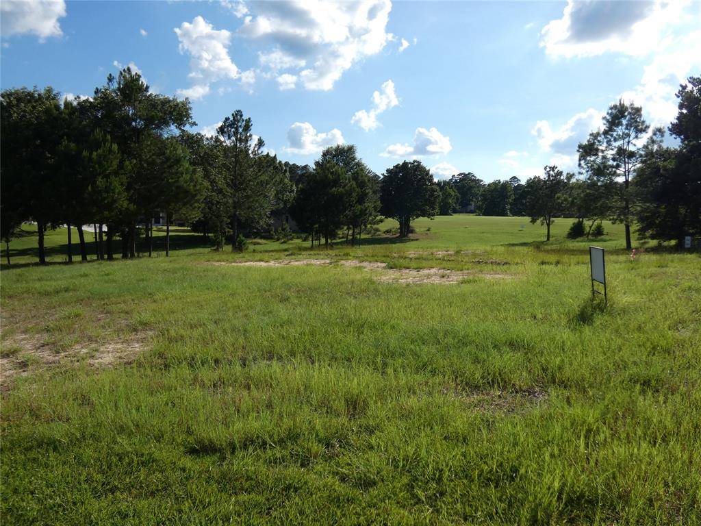 Holly Lake Ranch, TX 75765,LOT525R Golfing Green Cove