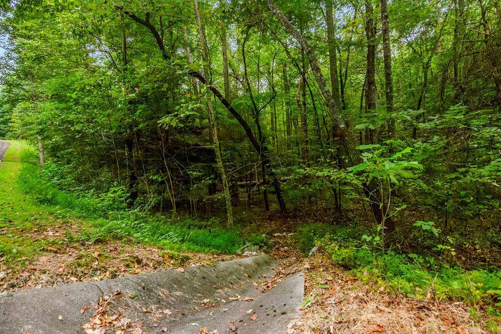 Ellijay, GA 30540,Lot 45 Abbott Mill Road