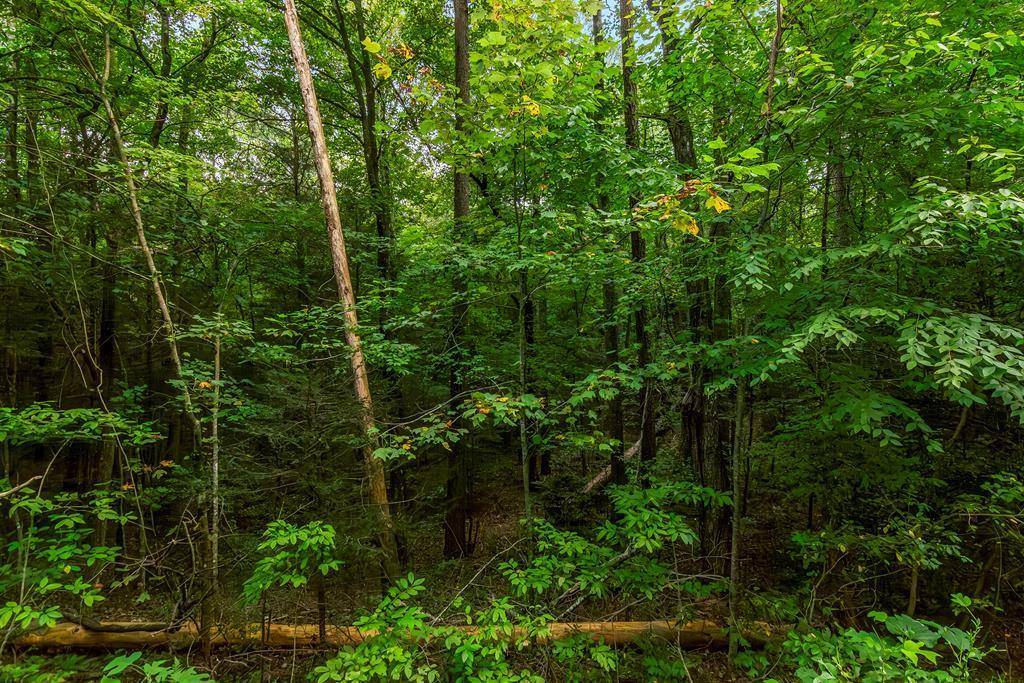 Ellijay, GA 30540,Lot 45 Abbott Mill Road