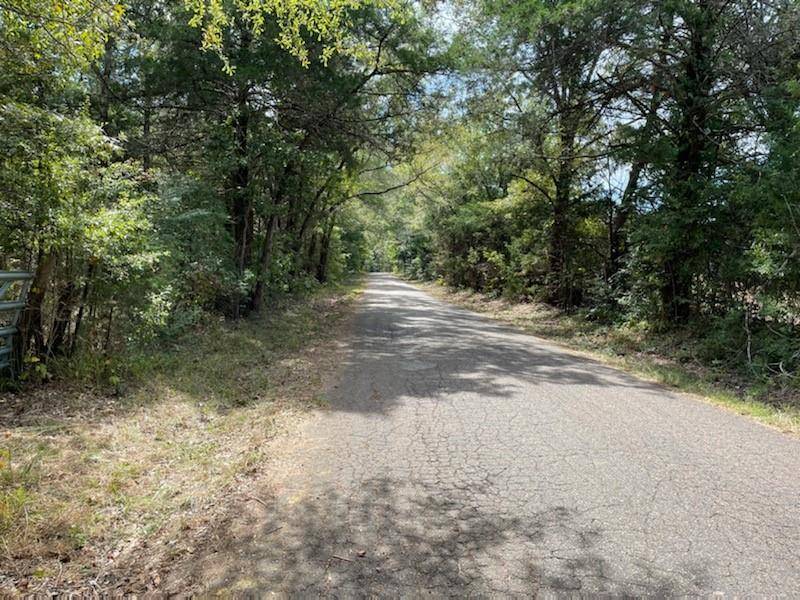 Edom, TX 75754,LOT 1 County Road 4609