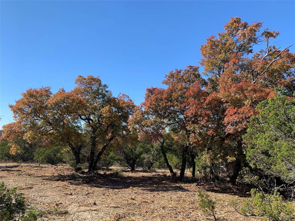 Tuscola, TX 79562,21.576 Acres FM 89