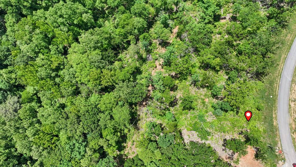 Ellijay, GA 30540,lot 14 High Summit Drive