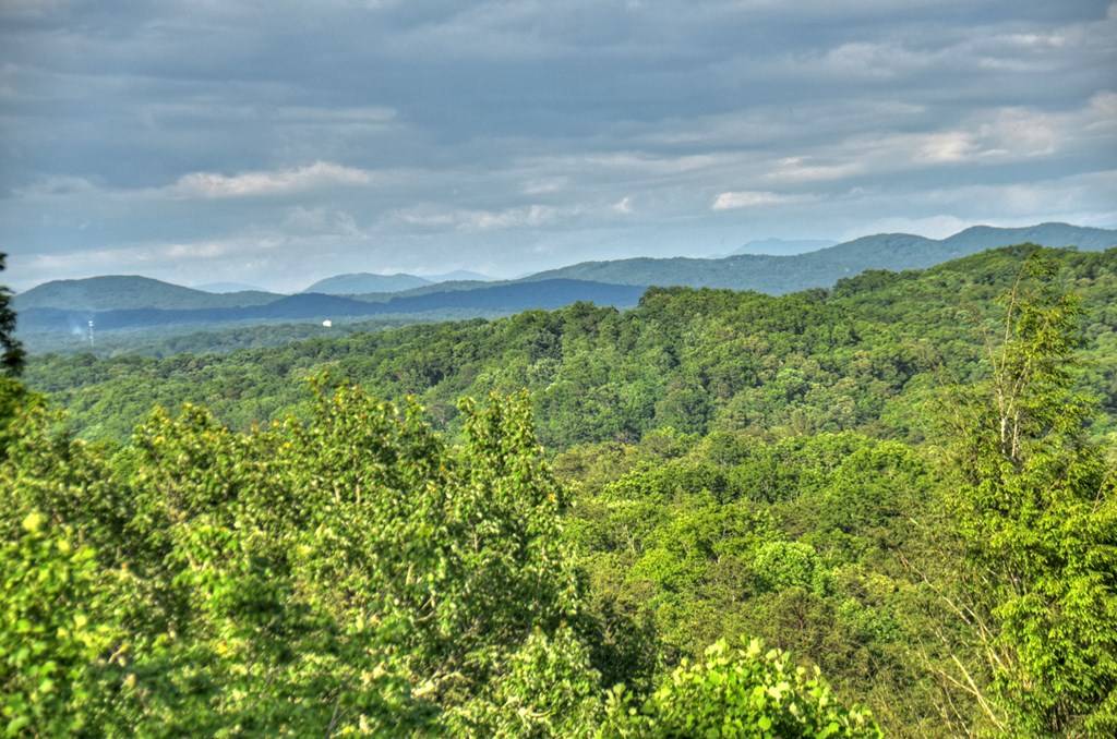 Blue Ridge, GA 30513,385 Weaver Creek Overlook