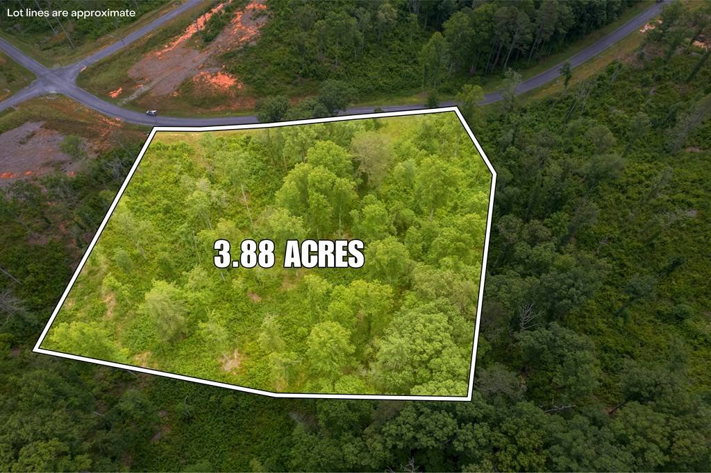 Ellijay, GA 30540,0 Lecroy Drive