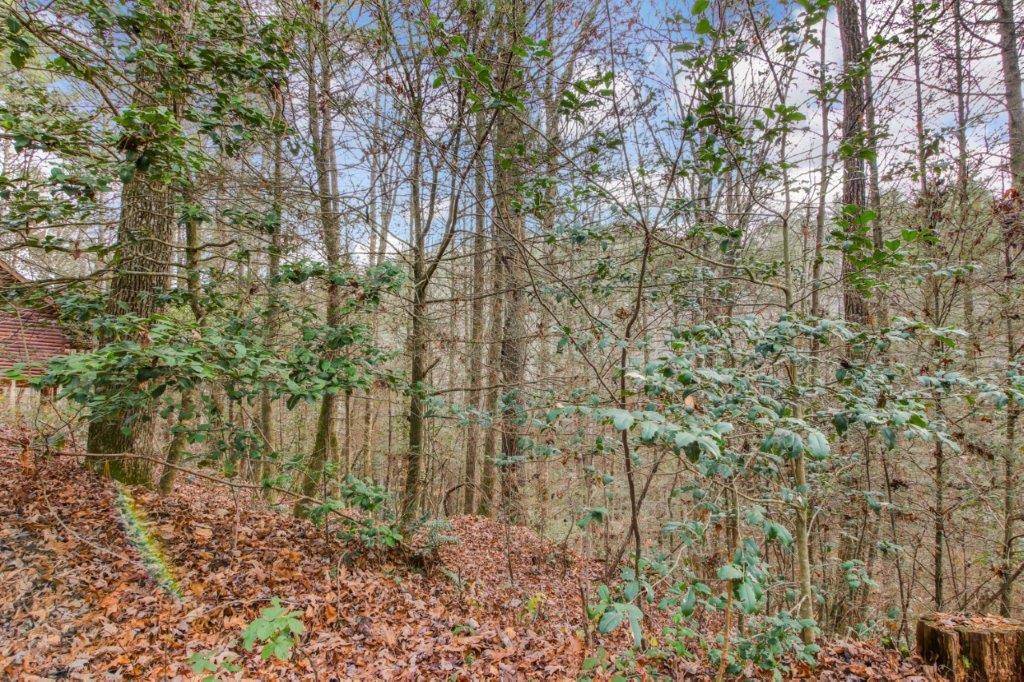 Ellijay, GA 30540,Lot 2 Laurel Overlook Road