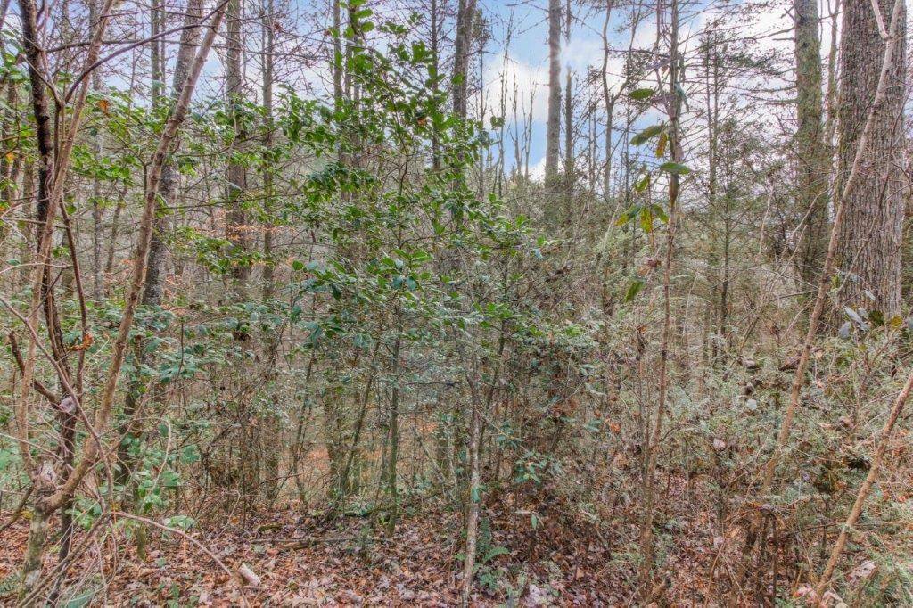 Ellijay, GA 30540,Lot 2 Laurel Overlook Road