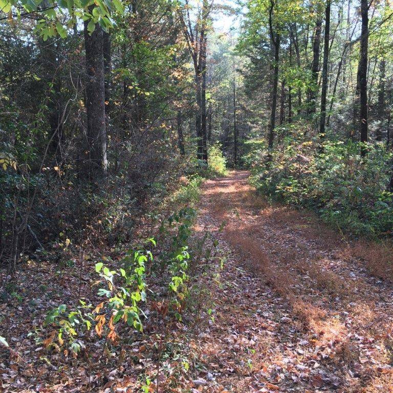 Ellijay, GA 30540,Lot 2 Laurel Overlook Road