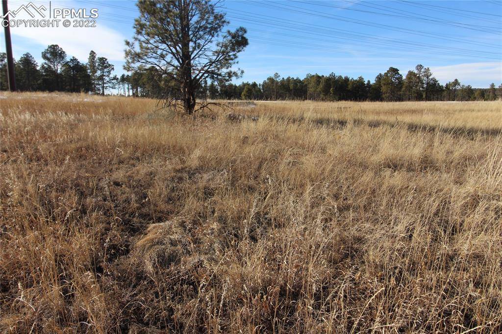 Colorado Springs, CO 80908,12651 Calm Breeze PT