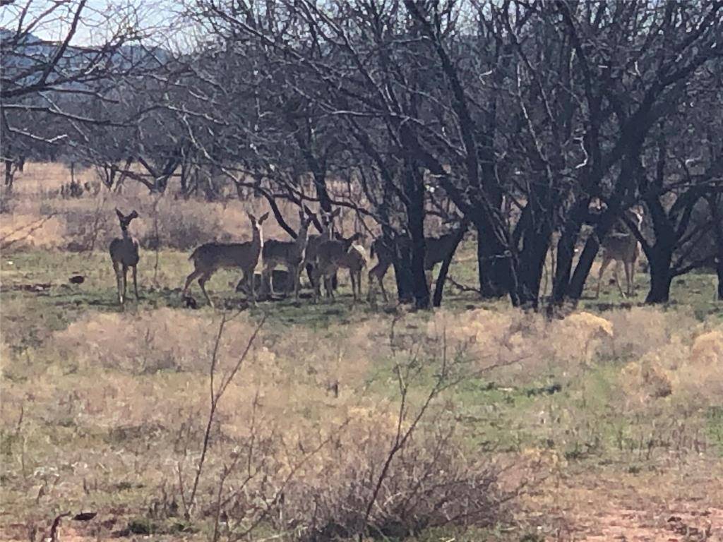 Abilene, TX 79602,90 Acre Bacacita Farms Road