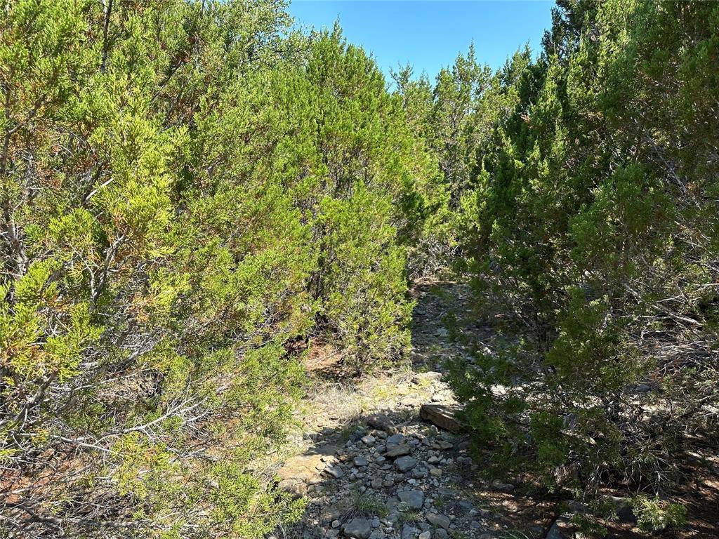 Graford, TX 76449,Lot 507 Canyon Wren Loop